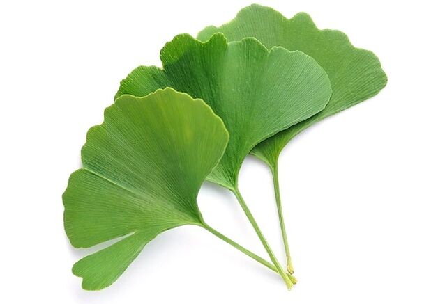 Gluconol contiene Ginkgo biloba